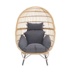 Modern High Quality New Design Outdoor Using Iron PE Rattan Chair TG-NI25
